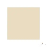 Offre Du Jour FAIENCE JASMIN BRILLANT 20×20 PAVIGRES