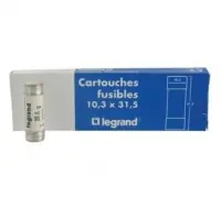 Authentique Fusible avec voyant 20A 10,3/31,5 ROY