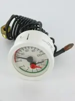 Thermomanomètre 6B CAP500 FERROLI Expédié Aujourd&rsquo;hui